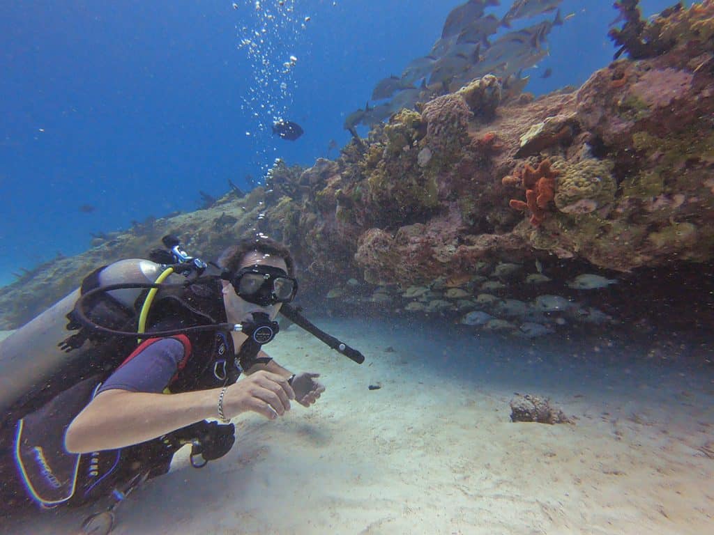 best dive sites in playa del carmen